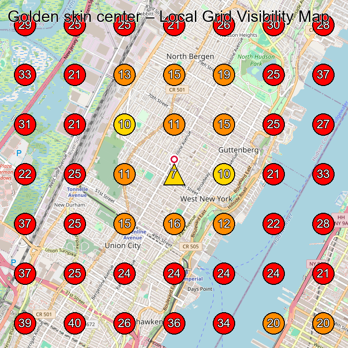 Golden skin center GeoGrid visibility map for Hair Salon in Guttenberg